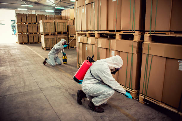 Best Local Pest Control Services  in Stuarts Draft, VA