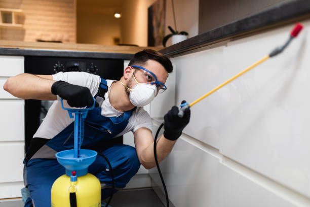 Best Pest Control Near Me  in Stuarts Draft, VA