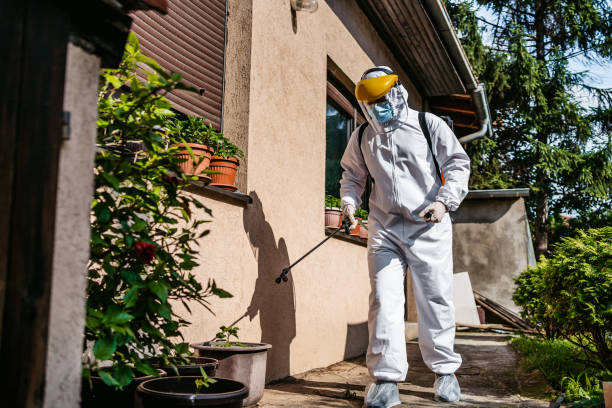 Best Cockroach Control Services  in Stuarts Draft, VA