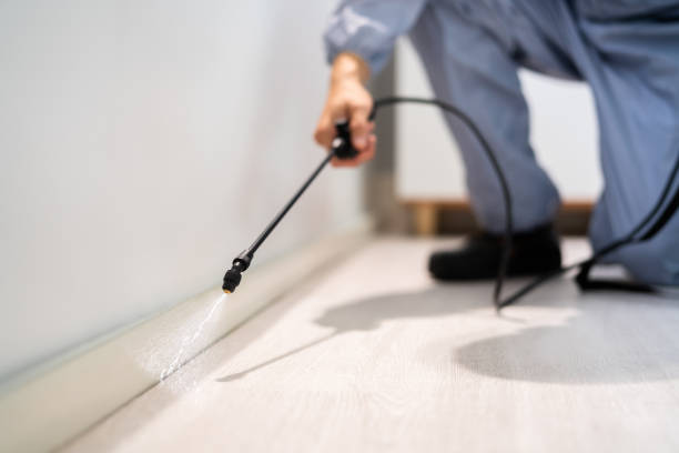Best Local Pest Control Services  in Stuarts Draft, VA