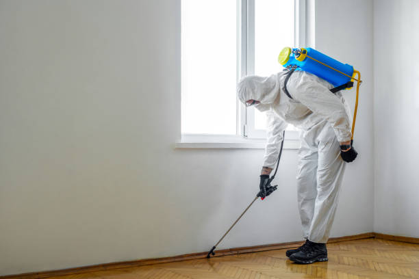 Best Best Pest Control Companies  in Stuarts Draft, VA