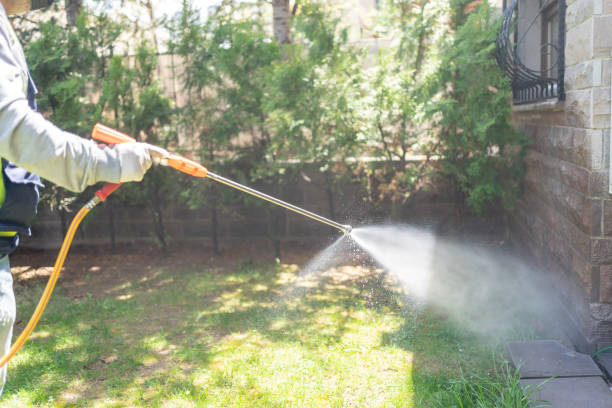 Best Mosquito Control Services  in Stuarts Draft, VA