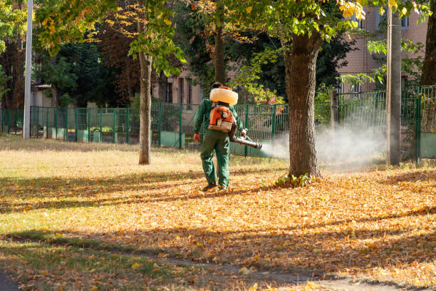 Professional Pest Control in Stuarts Draft, VA