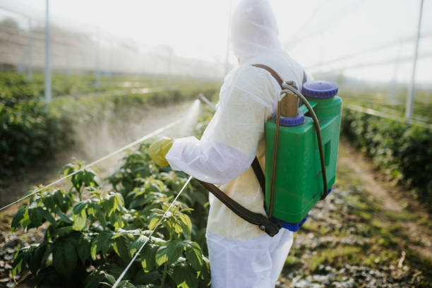 Best Affordable Pest Control Services  in Stuarts Draft, VA